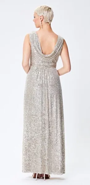 Cardi Silver Maxi Dress