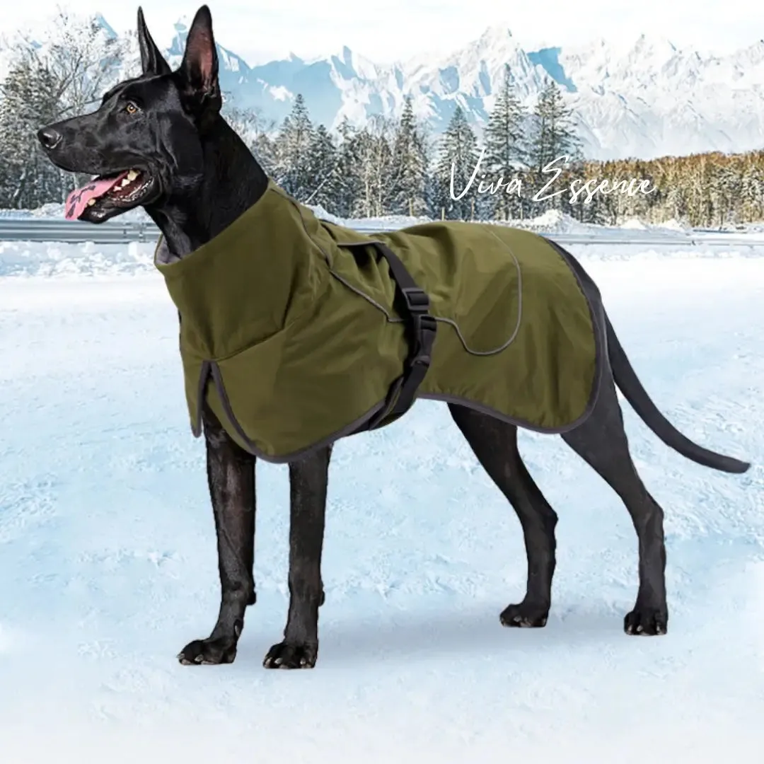 Waterproof Winter Dog Coat, Reflective, Warm Cotton Jacket